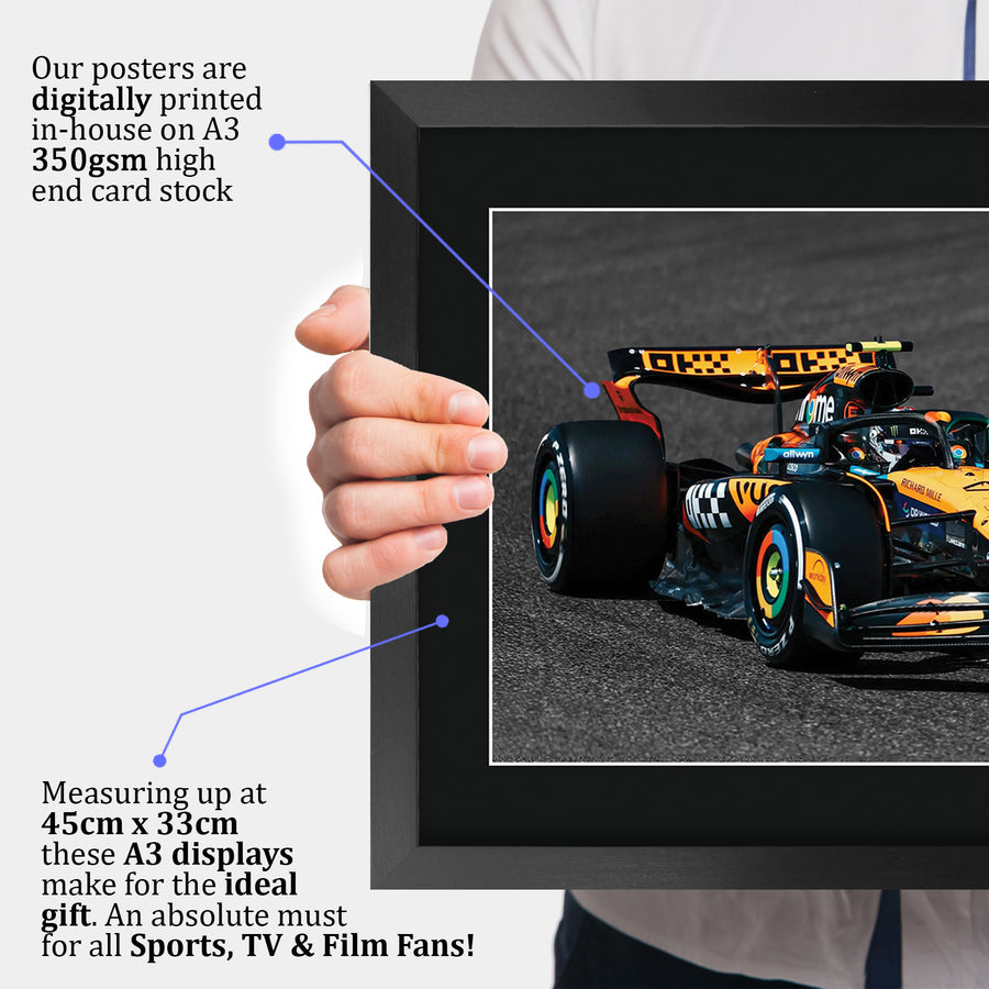 The framed print held up to show its size
