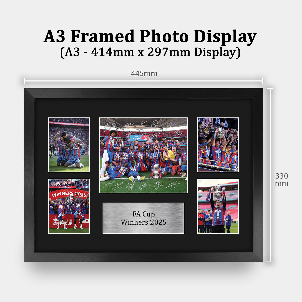 Eagles A3 framed print, view 2