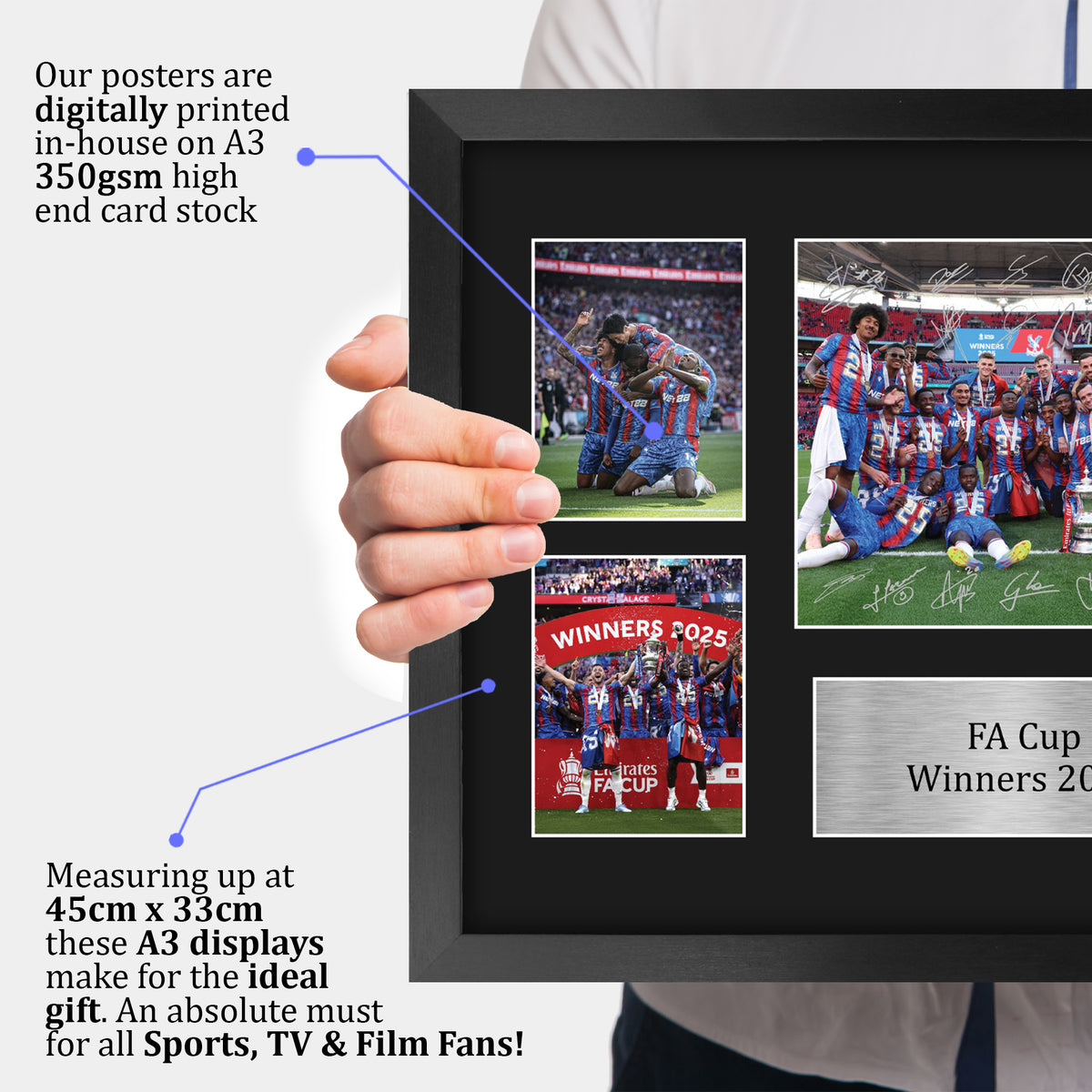 Eagles A3 framed print, view 3