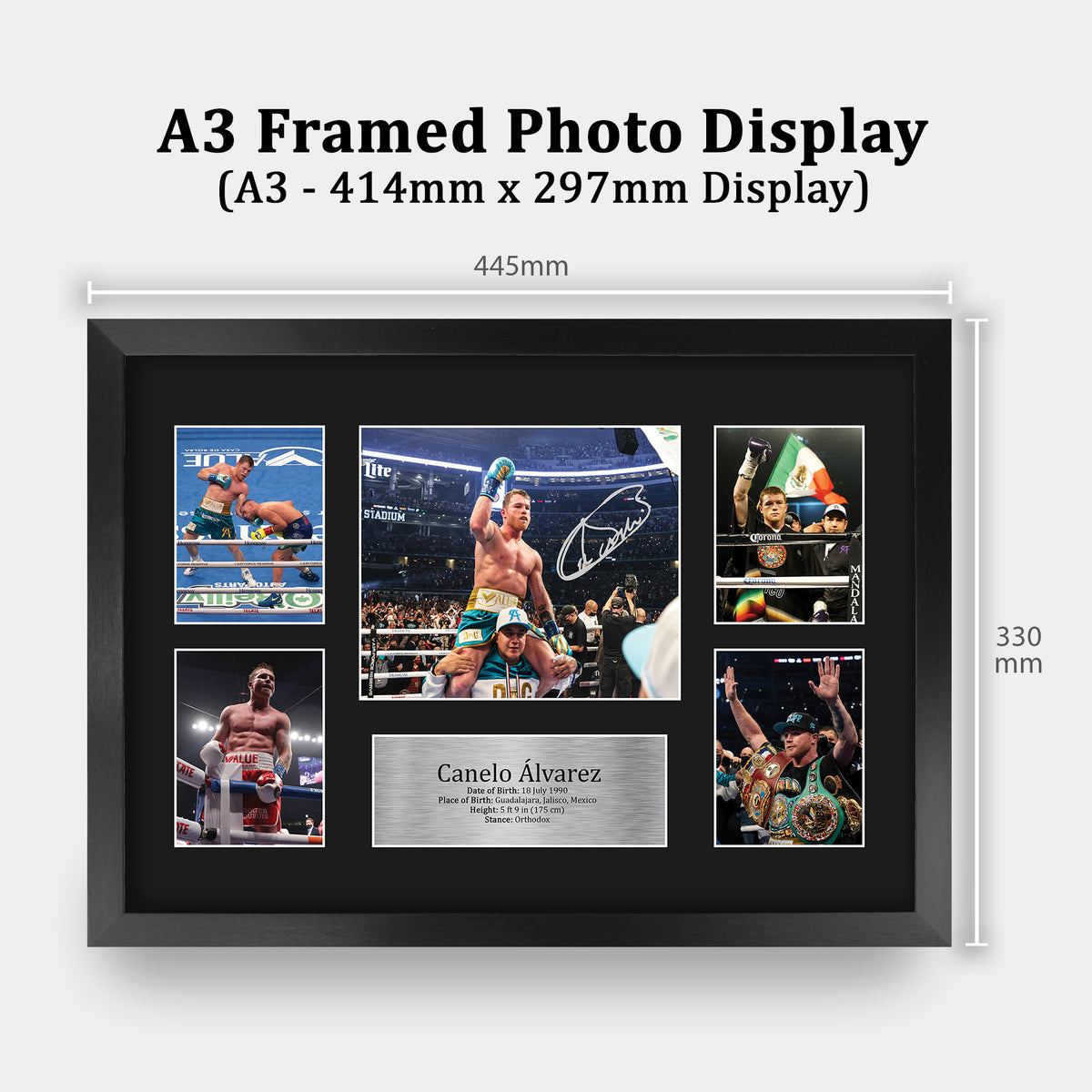 Canelo Alvarez Boxing A3 framed print, view 2