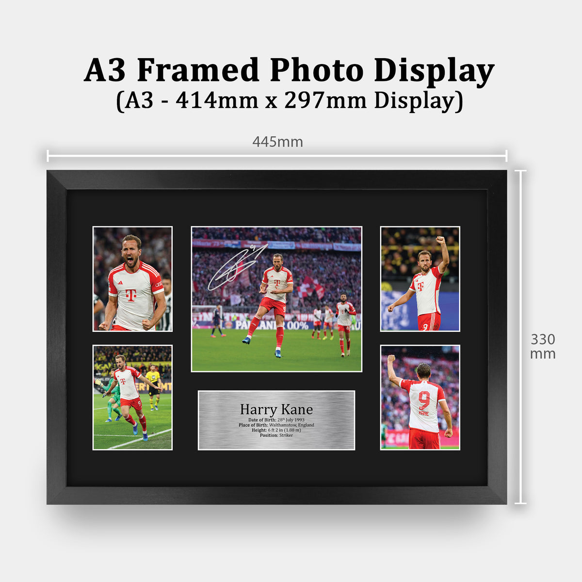 Harry Kane Munich A3 framed print, view 2