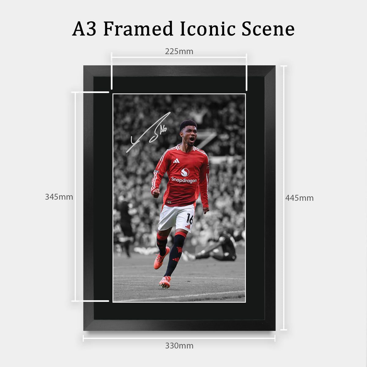 Amad Diallo A3 framed print, view 2