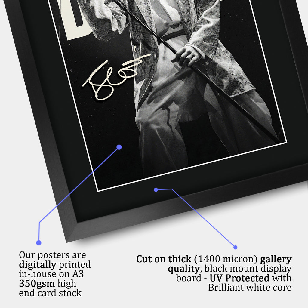 David Bowie Contrast Icon A3 framed print, view 4