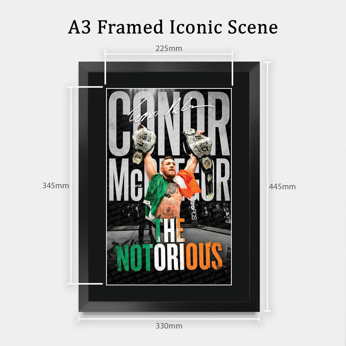 Steve Bull Contrast Icon A3 framed print, view 2