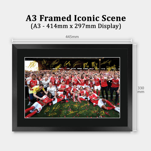 Arsenal Premier League Champions 25/26 Winners 2025 A3 framed print, view 2