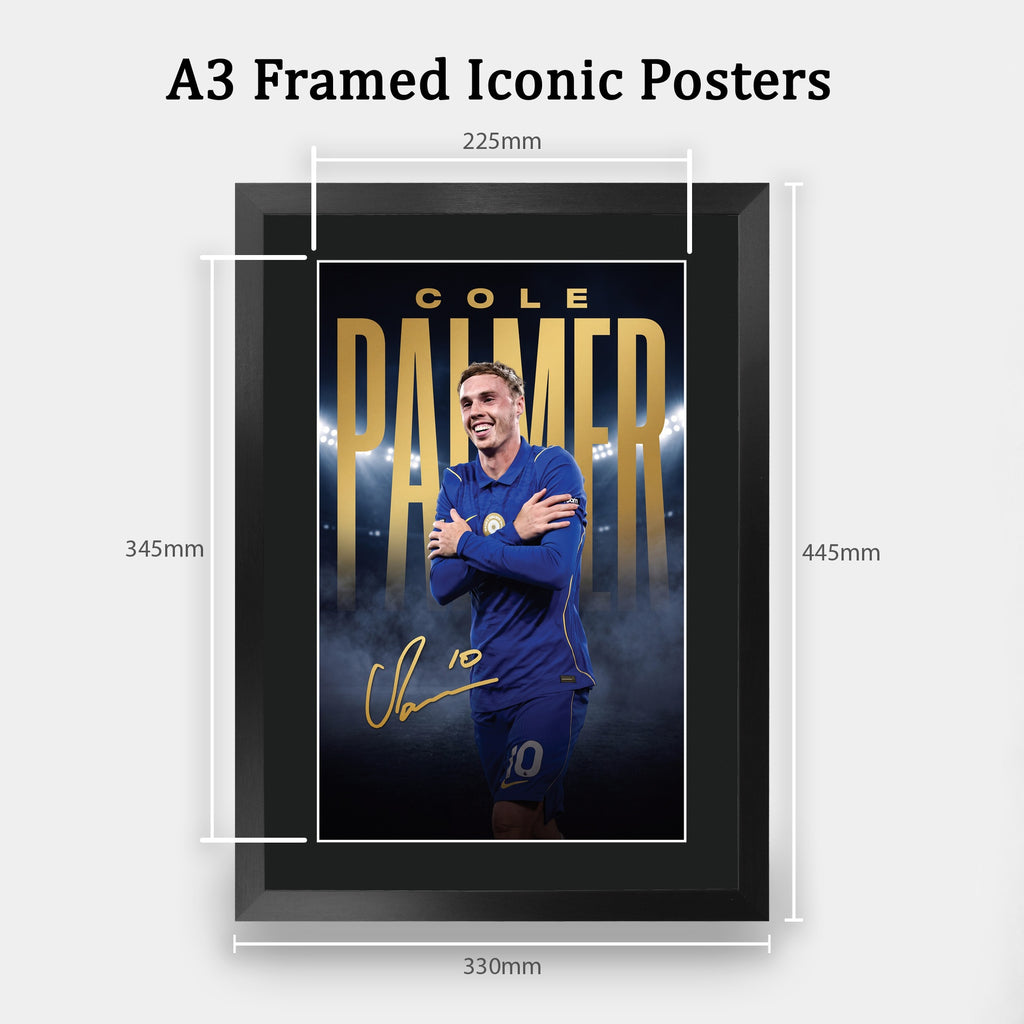 Cole Palmer True Icon A3 framed print, view 2