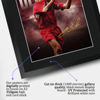 Steven Gerrard True Icon A3 framed print, view 4