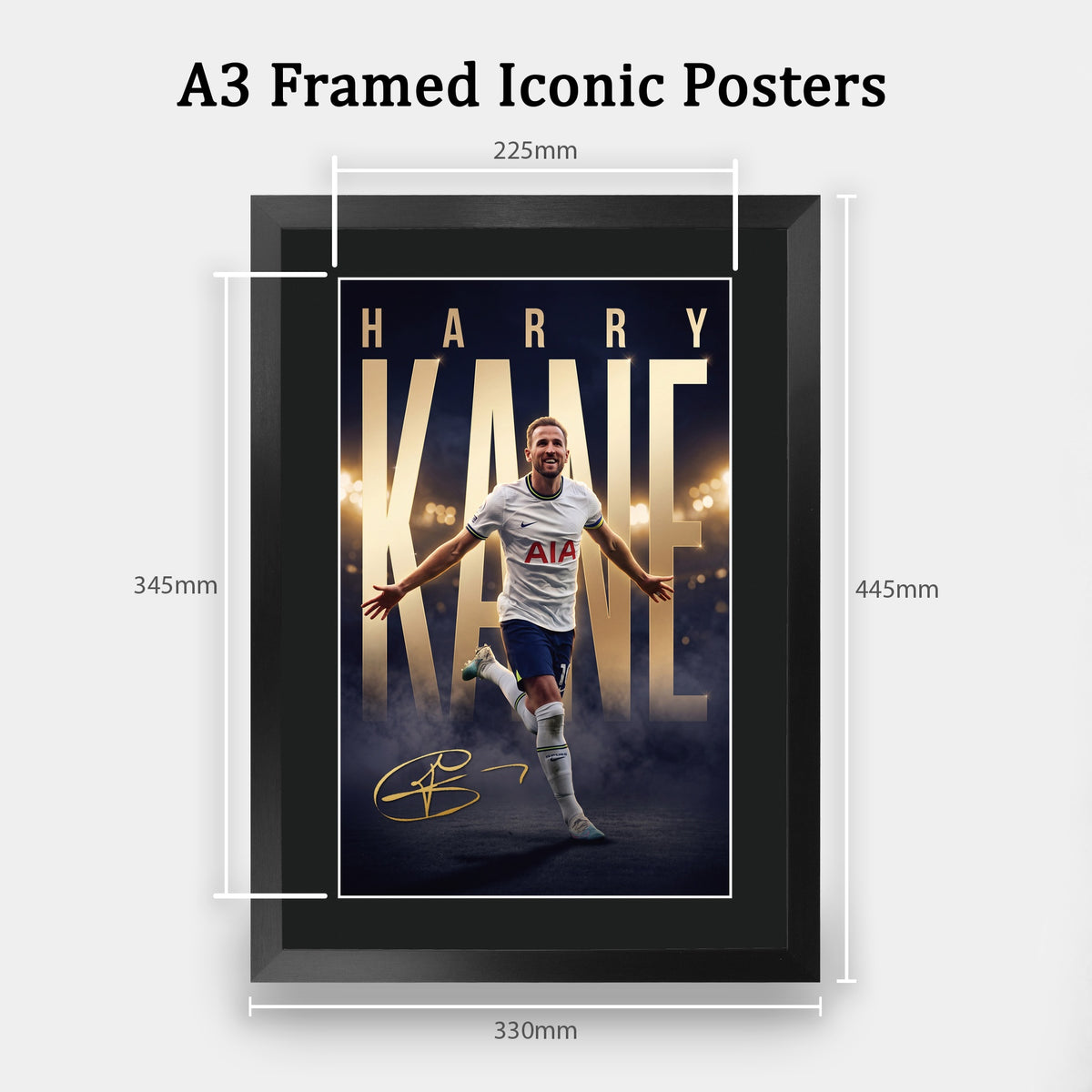 Harry Kane True Icon A3 framed print, view 2