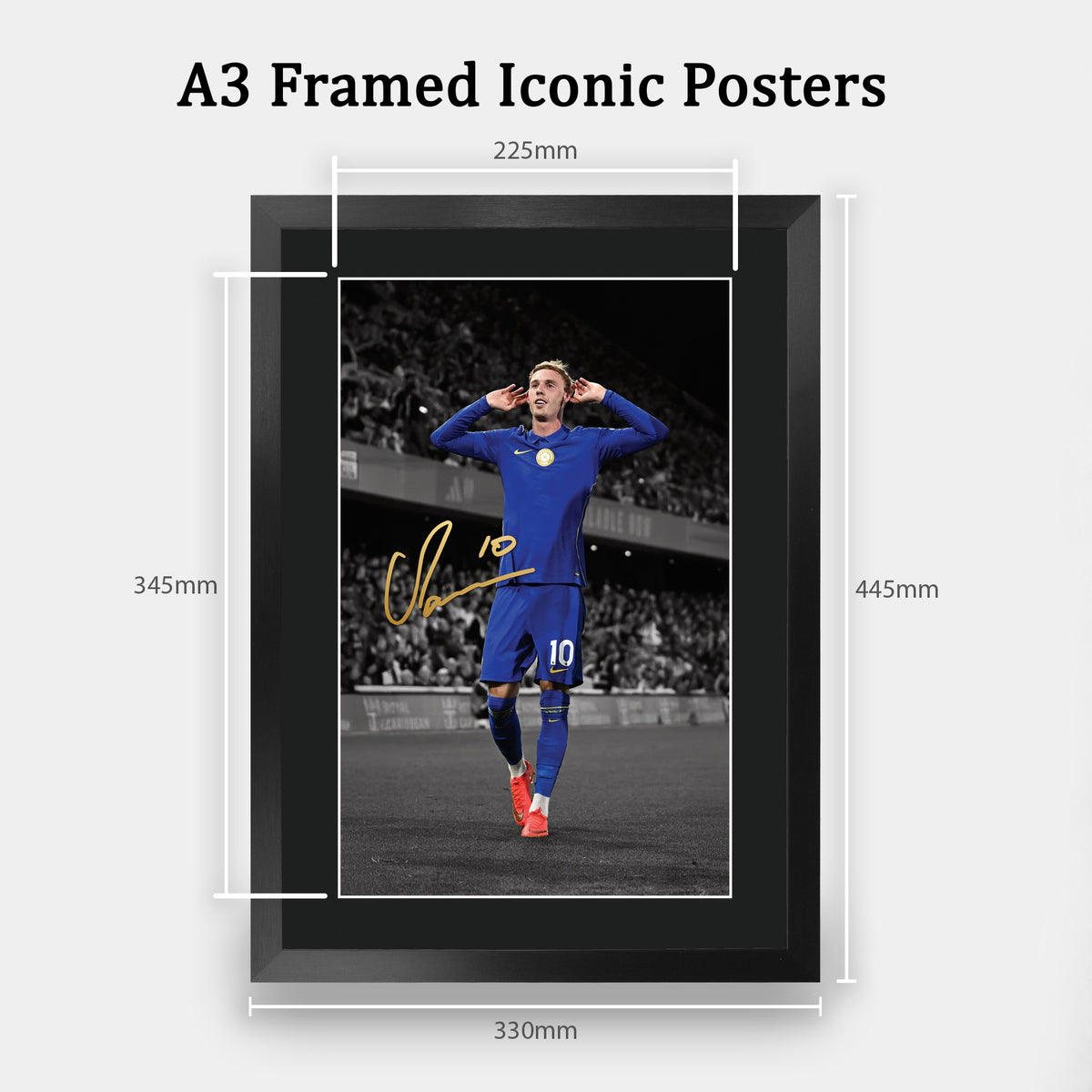 Cole Palmer Contrast Icon A3 framed print, view 2