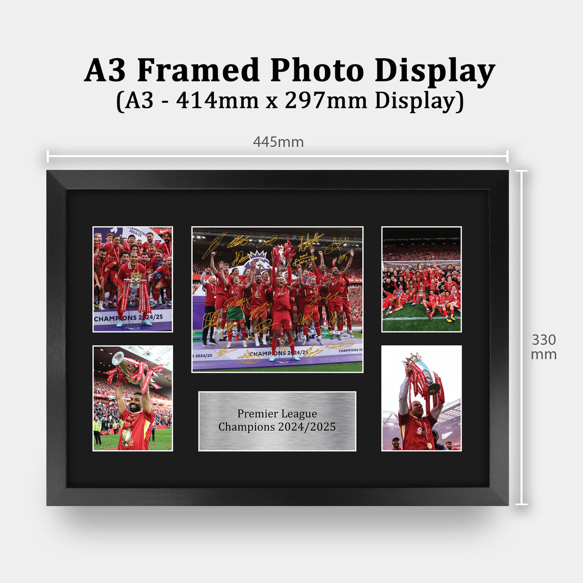 Liverpool 2025 Champions Gift Premier League Season 24-25 Winners A3 framed print, view 2