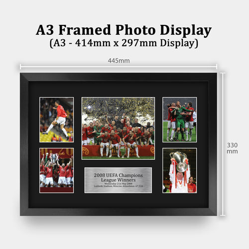 2008 UEFA Euro Cup Winners A3 framed print, view 2