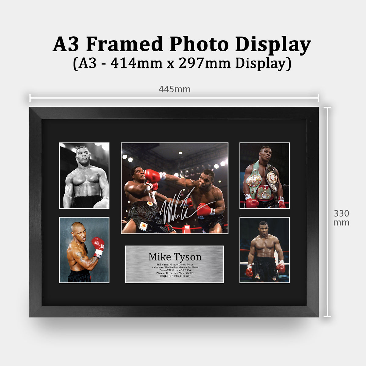 Mike Tyson A3 framed print, view 2