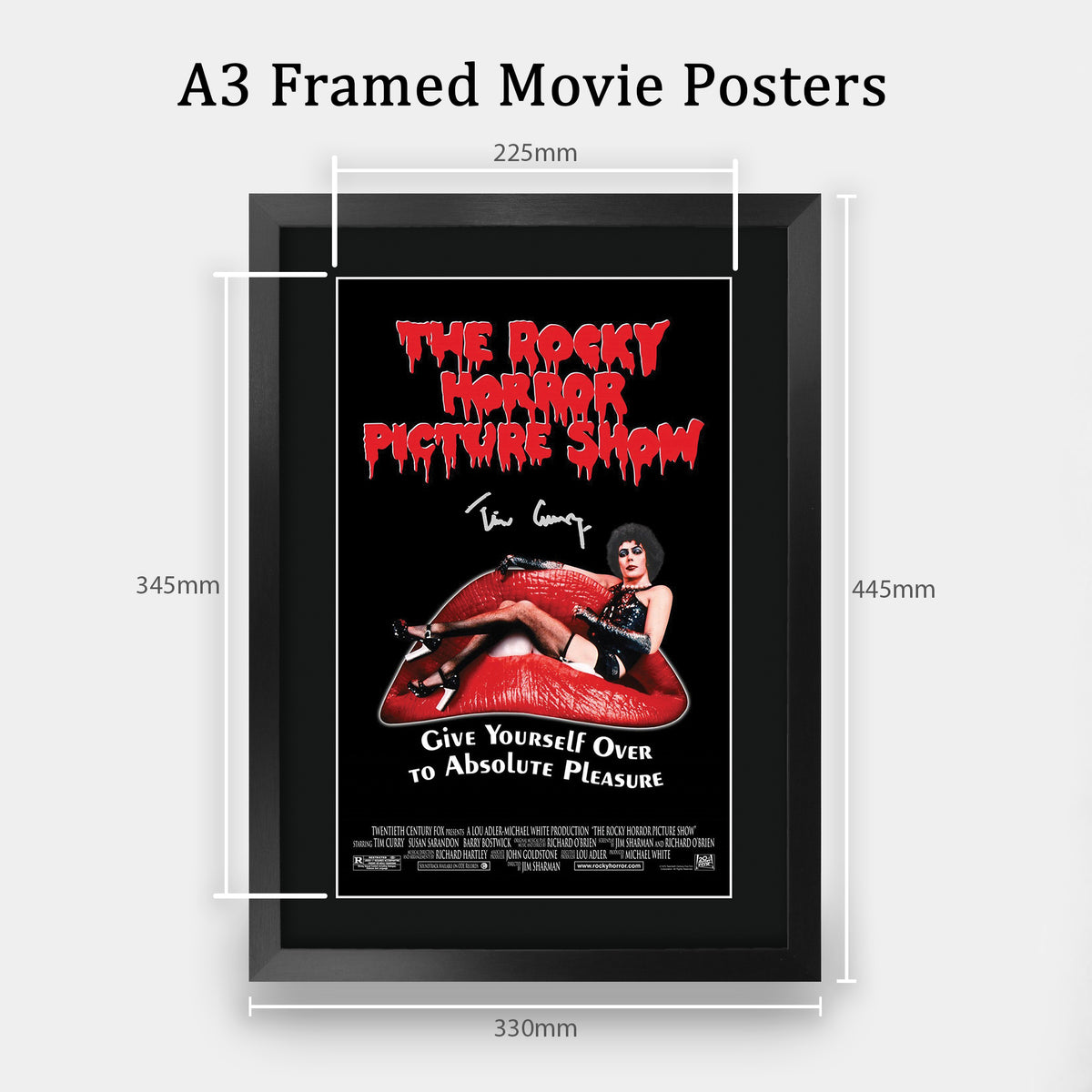 The Rocky Horror Picture Show A3 framed print, view 2