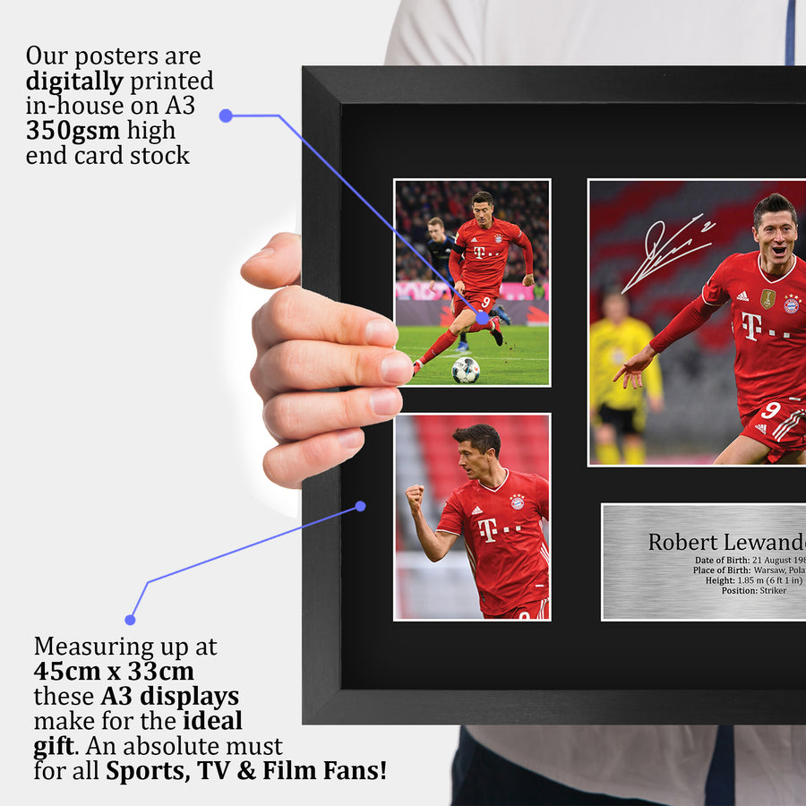 The framed print held up to show its size