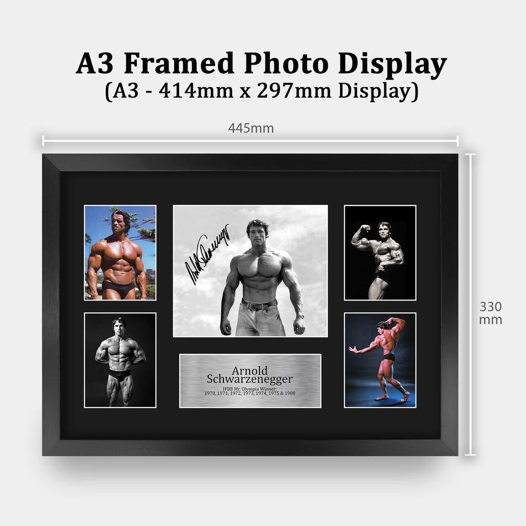 Schwarzenegger Mr Olympia A3 framed print, view 2