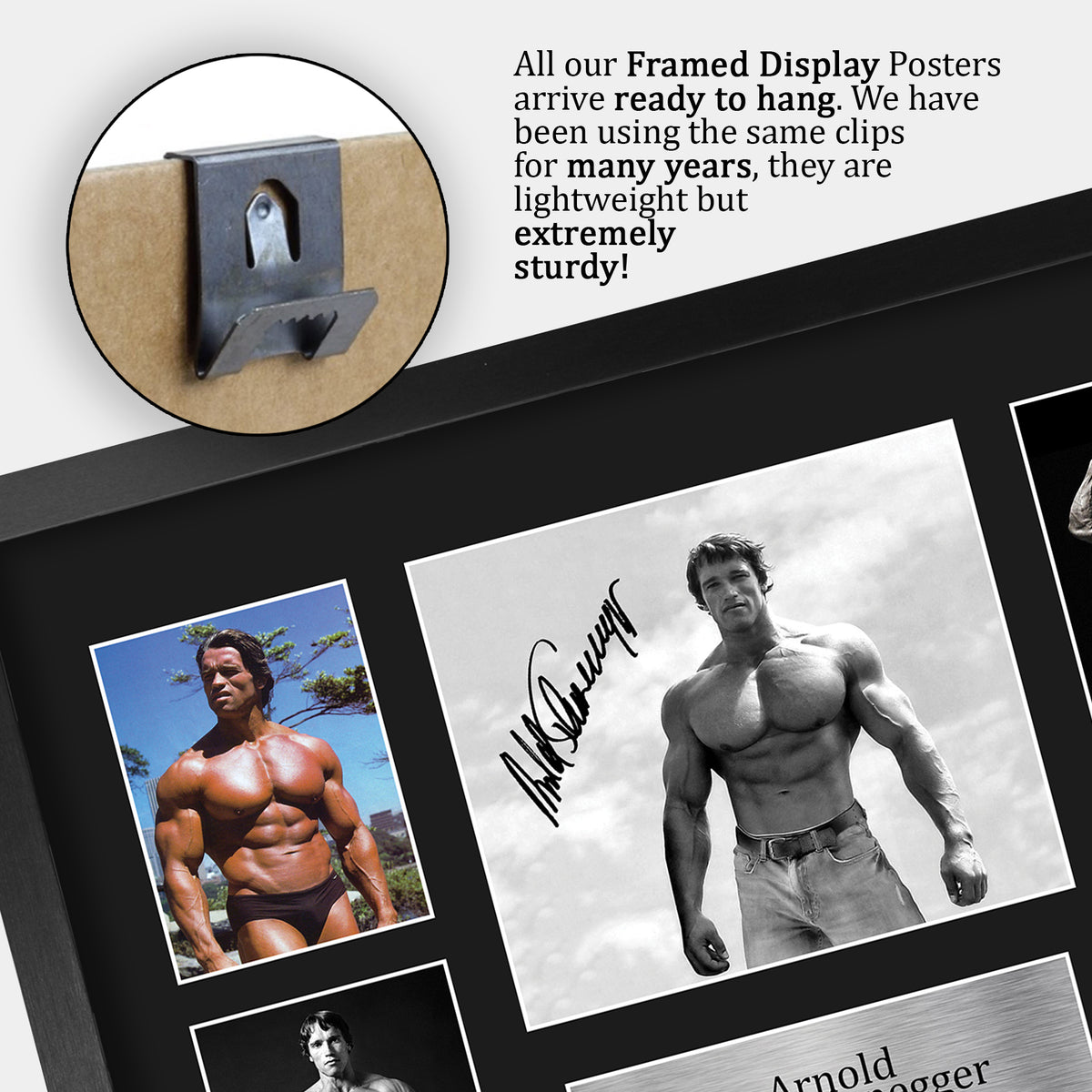 Schwarzenegger Mr Olympia A3 framed print, view 5
