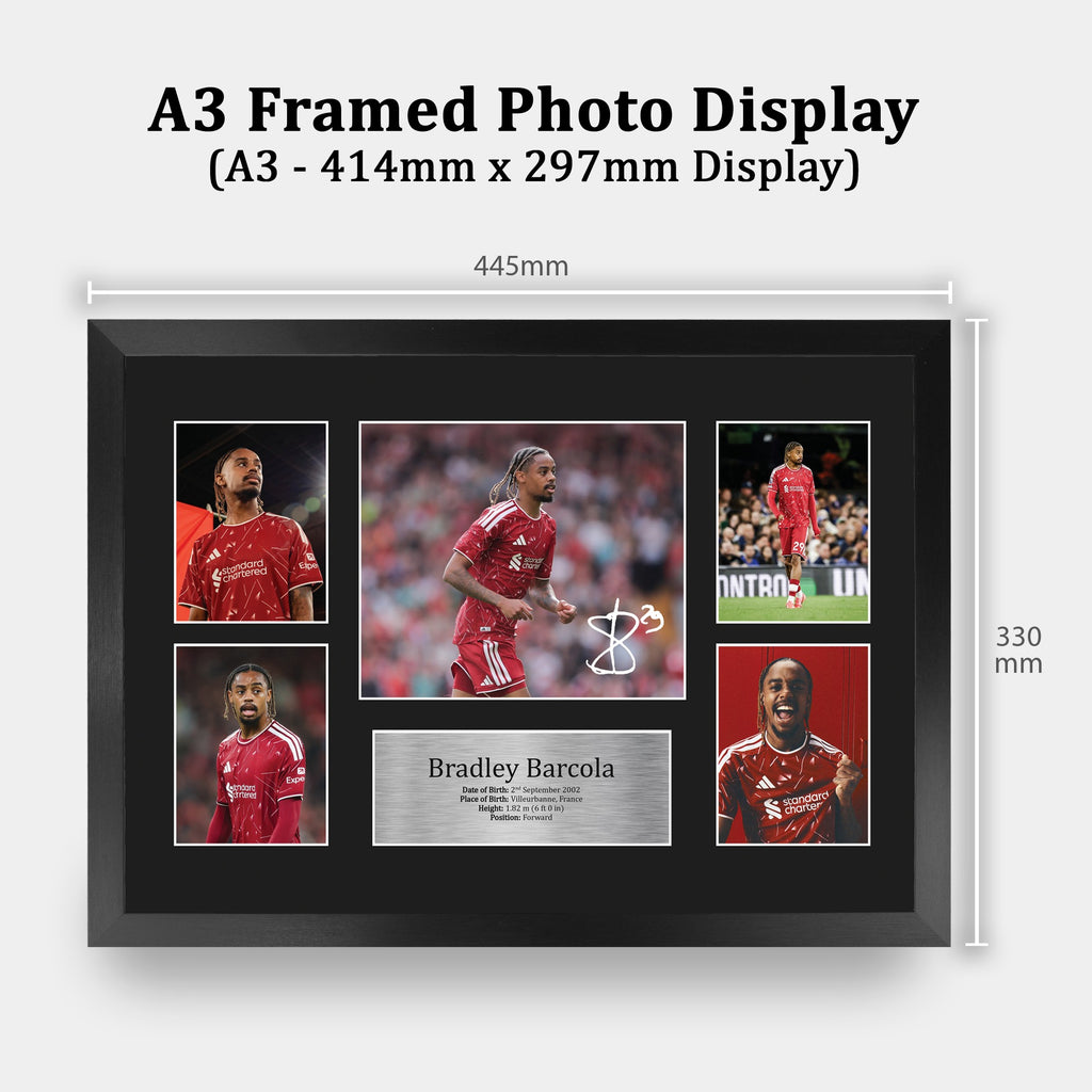Bradley Barcola Storyboard A3 framed print, view 2