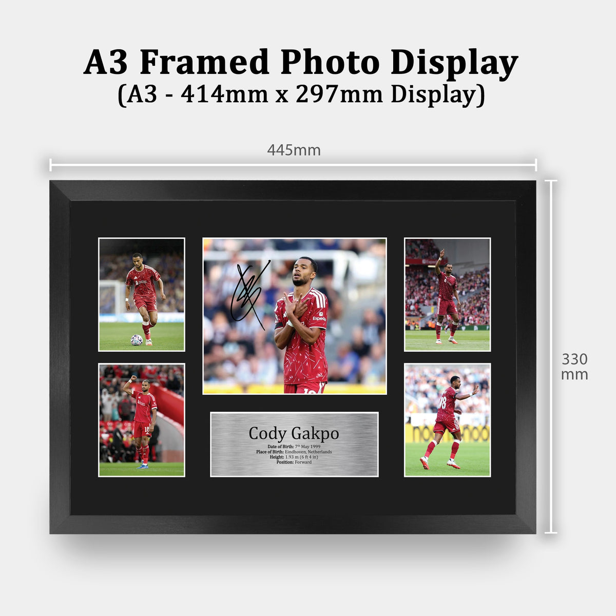 Cody Gakpo A3 framed print, view 2