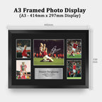 Dennis Bergkamp Storyboard A3 framed print, view 2