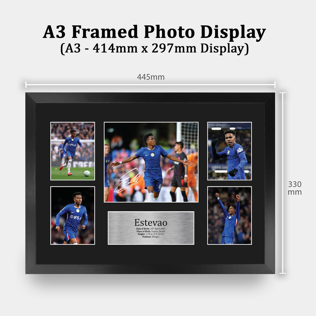 Estevao A3 framed print, view 2