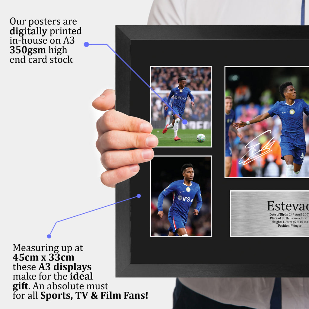 Estevao A3 framed print, view 3