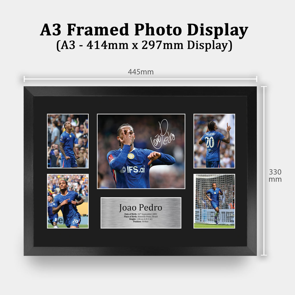 Joao Pedro Storyboard A3 framed print, view 2