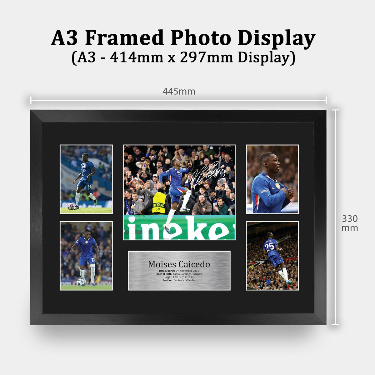 Moises Caicedo A3 framed print, view 2