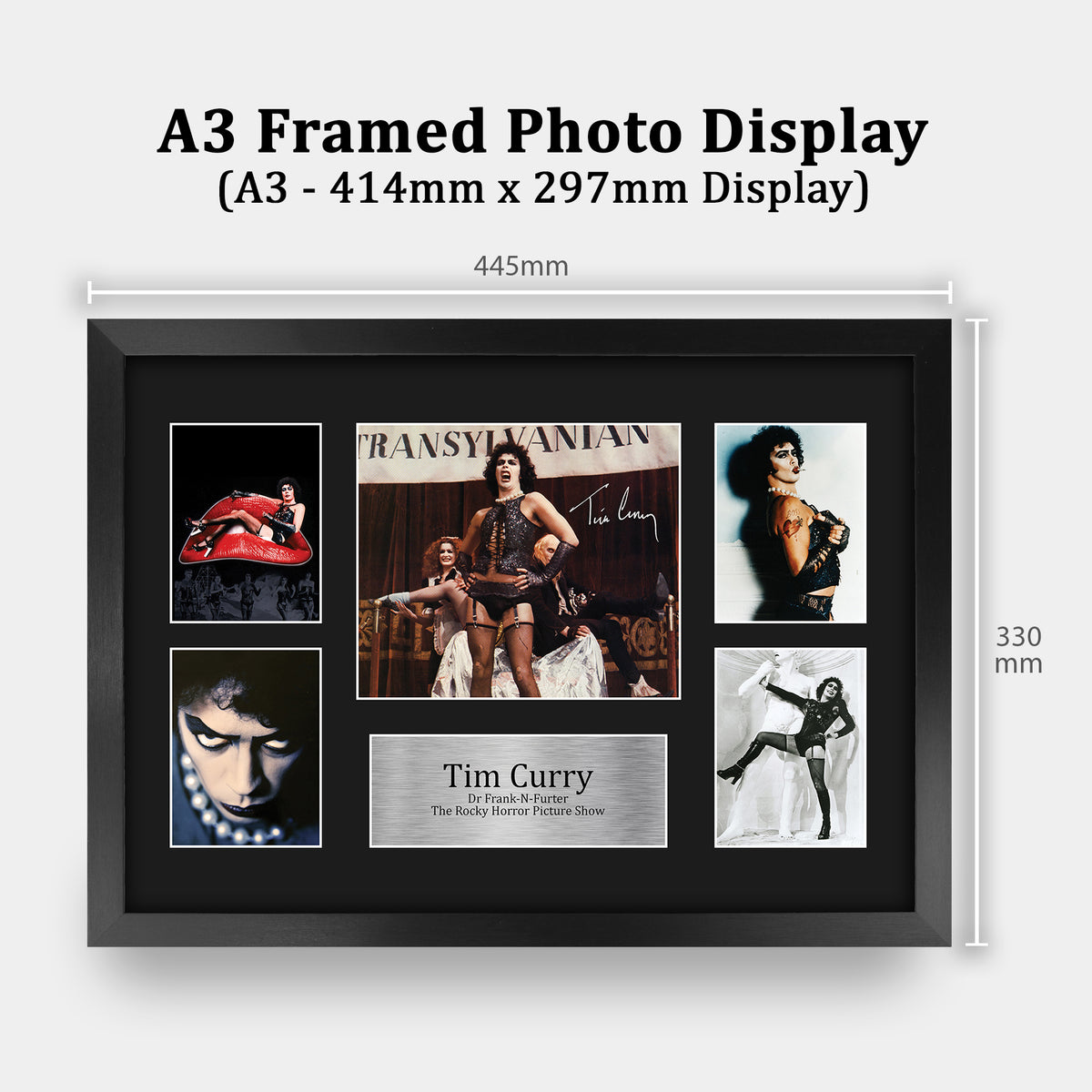 Tim Curry A3 Framed Rocky Horror Picture Show A3 framed print, view 2