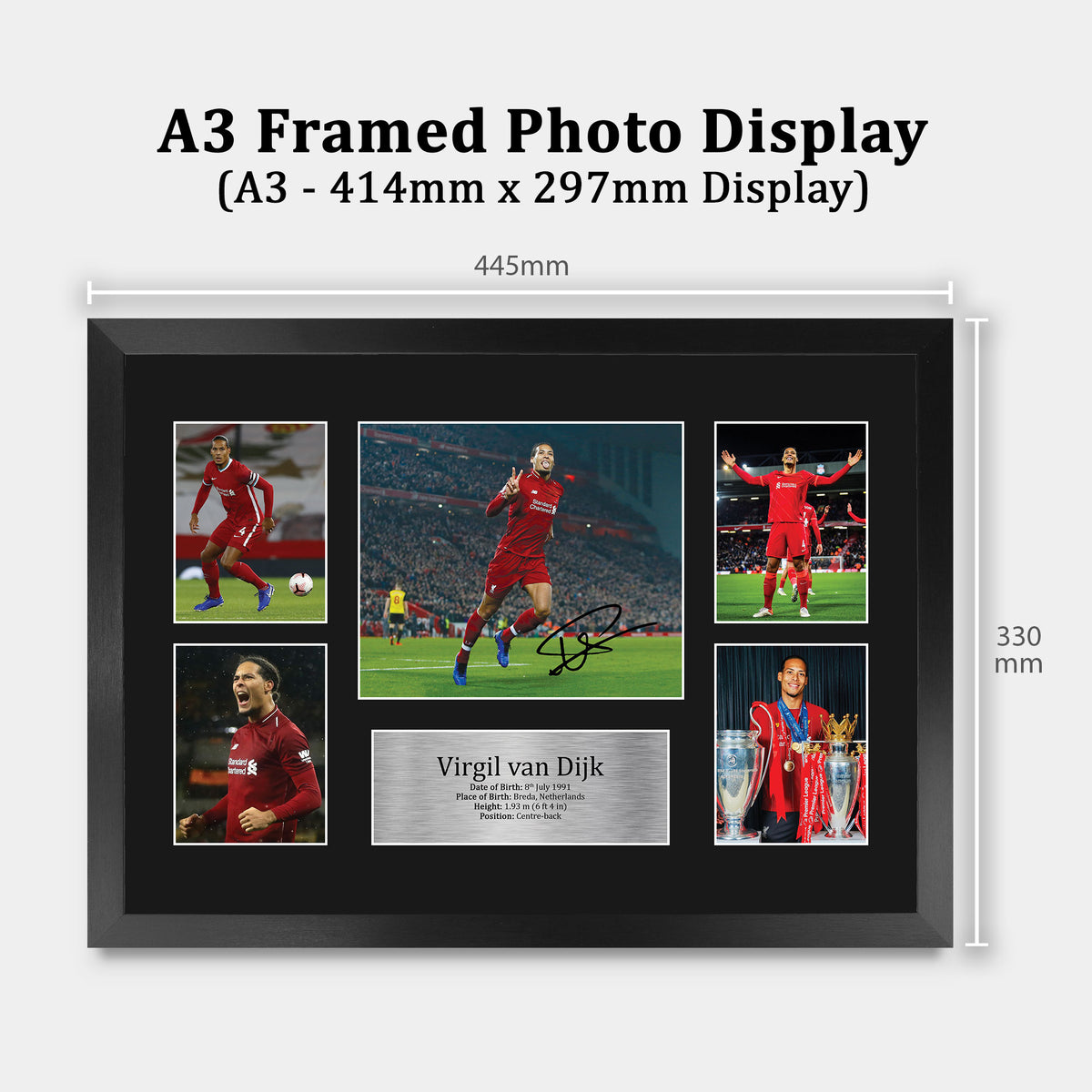 Virgil van Dijk A3 framed print, view 2