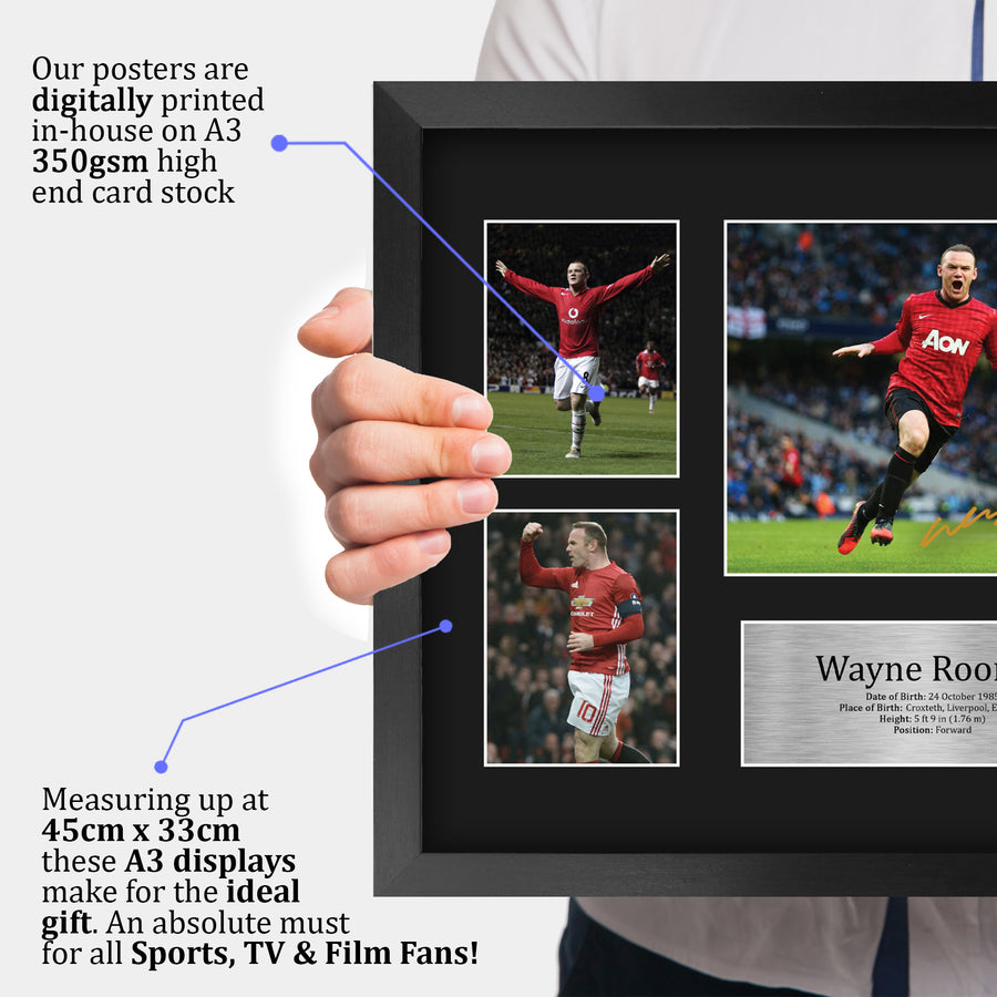 The framed print held up to show its size